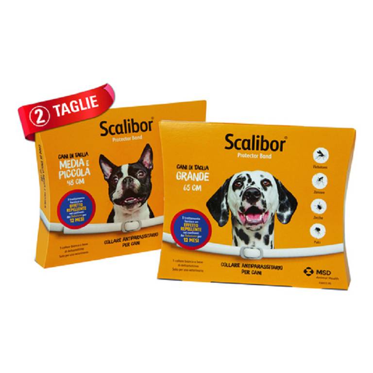 SCALIBOR PROTECTOR BAND*BI65CM